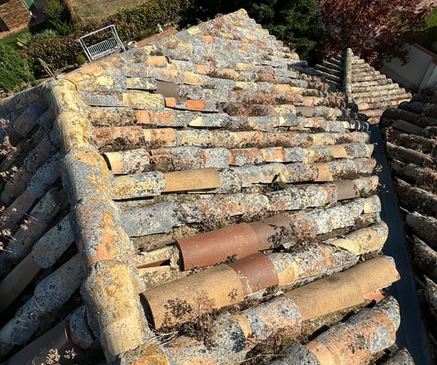 Reacondicionado de teja en parque Coimbra, Madrid